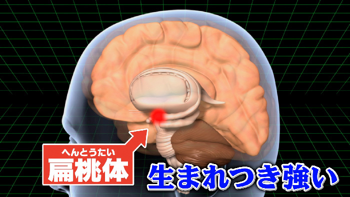 5人に1人 繊細 すぎて疲れてしまうhspって何 世界一受けたい授業 日本テレビ