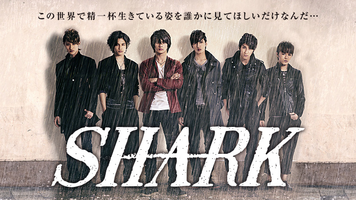 SHARK｜日本テレビ
