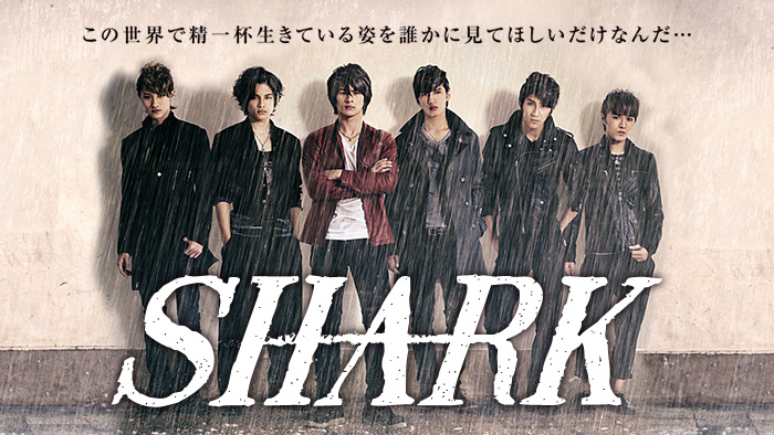 Shark 日本テレビ