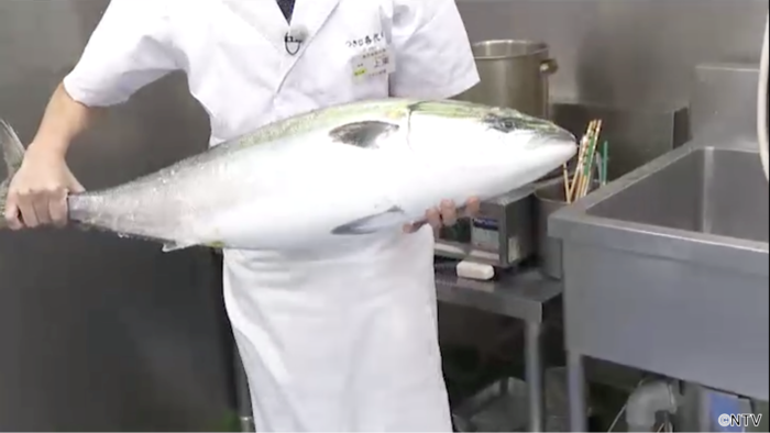2月7日放送 490 Kat Tun中丸雄一 旬の魚をさばきまくり丸になる シューイチ 日本テレビ