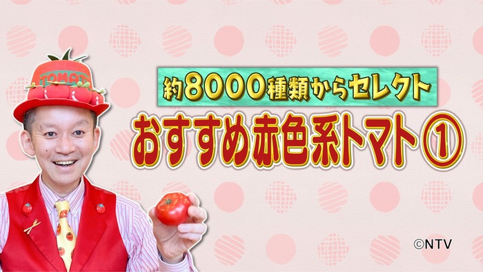 10月15日放送 ＃623 KAT-TUN中丸雄一 世界一のピザを作る第