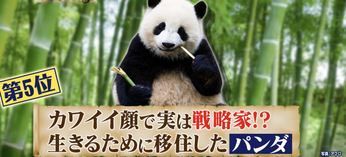 5月31日放送 457シューイチプレミアム アンタッチャブル柴田が教える動物世界 シューイチ 日本テレビ