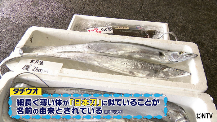 2月13日放送 540 冬が旬 お魚オールスターin茨城 シューイチ 日本テレビ