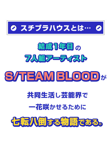 スチブラハウス｜日本テレビ