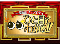 一撃解明バラエティ「ひと目でわかる!!」