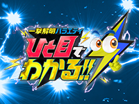 一撃解明バラエティ ひと目でわかる!!