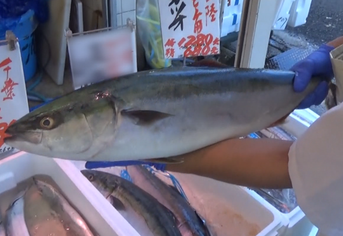 オモウマい店 今週紹介するお店は たこ焼き6個がまさかの25円 盛り沢山の刺身盛が1706円 日テレtopics 日本テレビ
