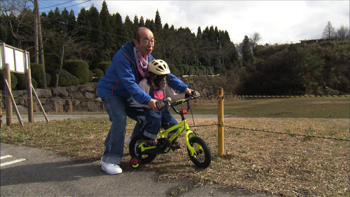 天才 志村どうぶつ園 今夜最終回 2時間スペシャル 相葉雅紀がコメント 日テレtopics 日本テレビ