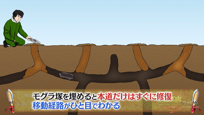 大根収穫に影響を与えるモグラ 見事に撃退を果たした公務員のアイデアとは The突破ファイル 日本テレビ