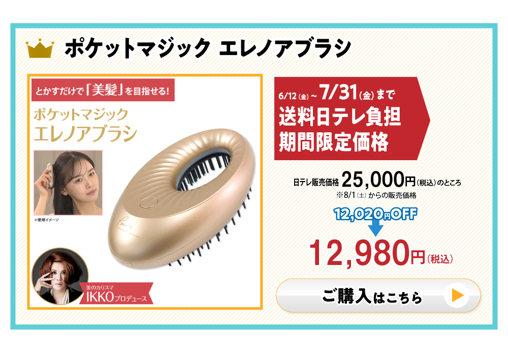 ポケットマジック エレノアブラシ