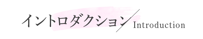イントロダクション