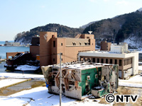 Plants: image 9 0f 18 thumb