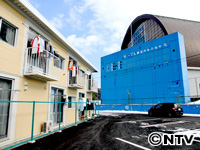 Plants: image 11 0f 18 thumb