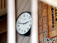 Plants: image 14 0f 15 thumb