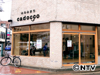 Plants: image 5 0f 12 thumb