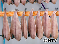 Plants: image 6 0f 12 thumb