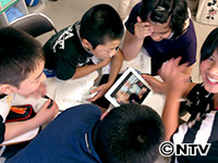 Plants: image 8 0f 11 thumb