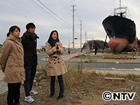 Plants: image 1 0f 14 thumb