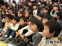 Plants: image 5 0f 14 thumb