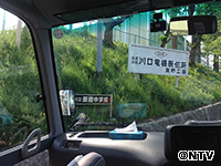 Plants: image 1 0f 12 thumb