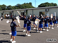 Plants: image 9 0f 12 thumb