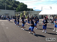 Plants: image 10 0f 12 thumb