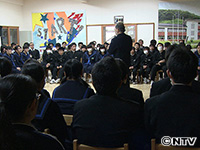 Plants: image 5 0f 13 thumb