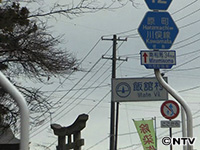 Plants: image 7 0f 13 thumb