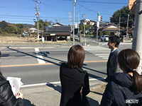 Plants: image 1 0f 11 thumb