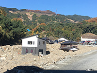 Plants: image 2 0f 11 thumb