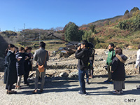 Plants: image 3 0f 11 thumb