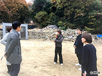 Plants: image 14 0f 15 thumb