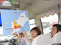 Plants: image 1 0f 15 thumb