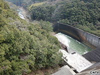 Plants: image 3 0f 15 thumb