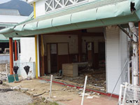 Plants: image 6 0f 15 thumb