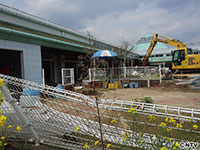 Plants: image 7 0f 15 thumb