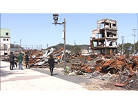 Plants: image 12 0f 15 thumb