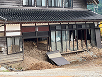 Plants: image 10 0f 36 thumb