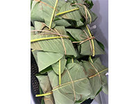 Plants: image 15 0f 36 thumb