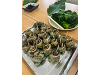 Plants: image 19 0f 36 thumb