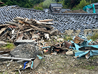 Plants: image 9 0f 36 thumb