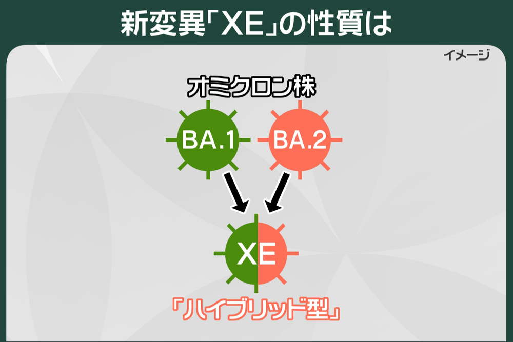 120 日本でも初確認、新変異「XE」とは？｜プライチ｜news zero｜日本