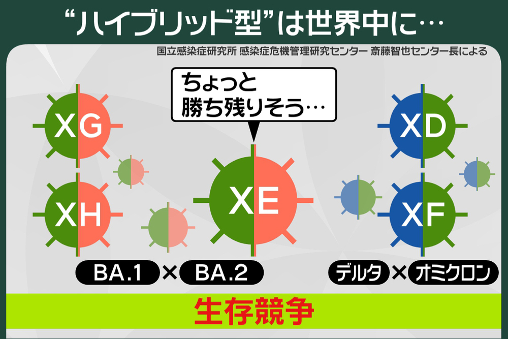 120 日本でも初確認、新変異「XE」とは？｜プライチ｜news zero｜日本