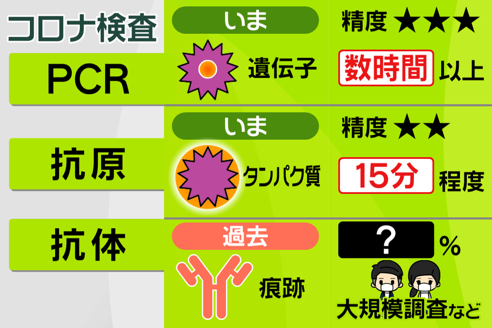 違い 検査 と pcr 抗体 の