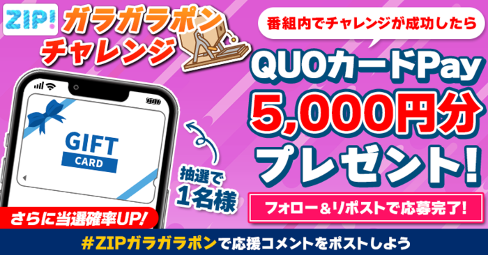 チャーコロ【即購入大歓迎】様ご相談ページ QUOカードPay 5,000円分を番組内で「ZIP!ガラガラポンチャレンジ」が