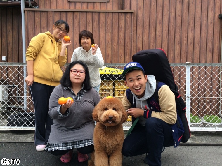 にっぽんわくわくキャラバン | ZIP!｜日本テレビ