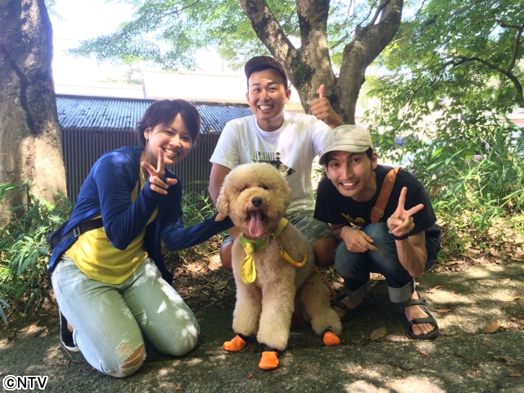 にっぽんわくわくキャラバン | ZIP!｜日本テレビ