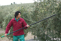 「MOCO'Sキッチン in スペイン」その３