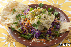 もこみち流 チキンのマヨマスタードあえ ~ナンのせ~