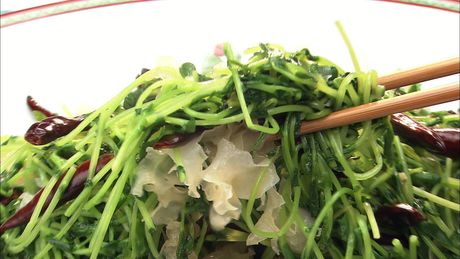 もこみち流　豆苗と白きくらげの炒めもの